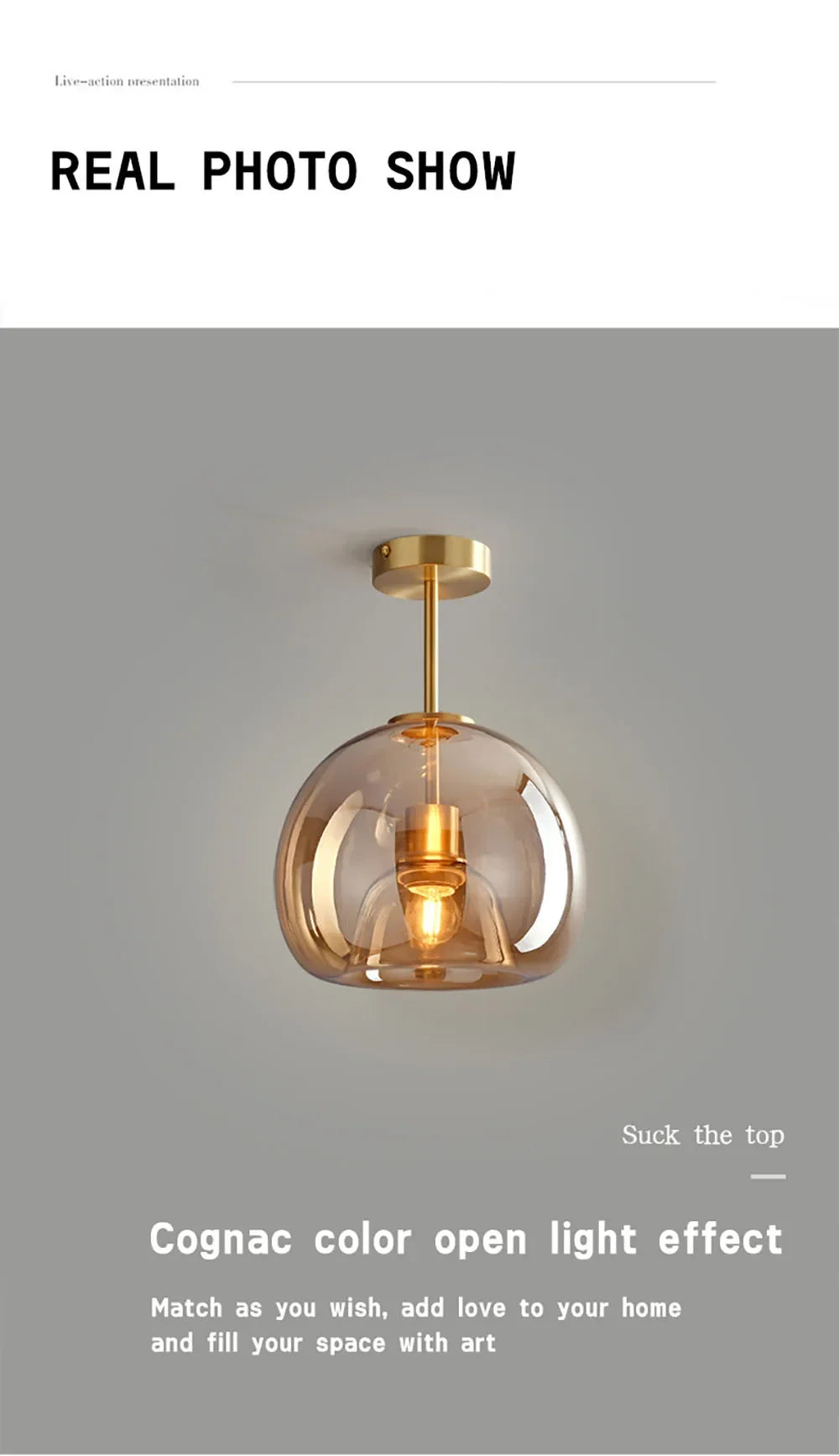 Nordic Glass Globe Ceiling Light