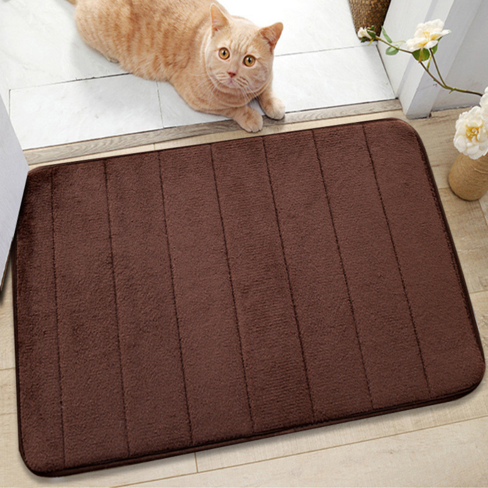 Ultra-Soft Absorbent Bath Mat